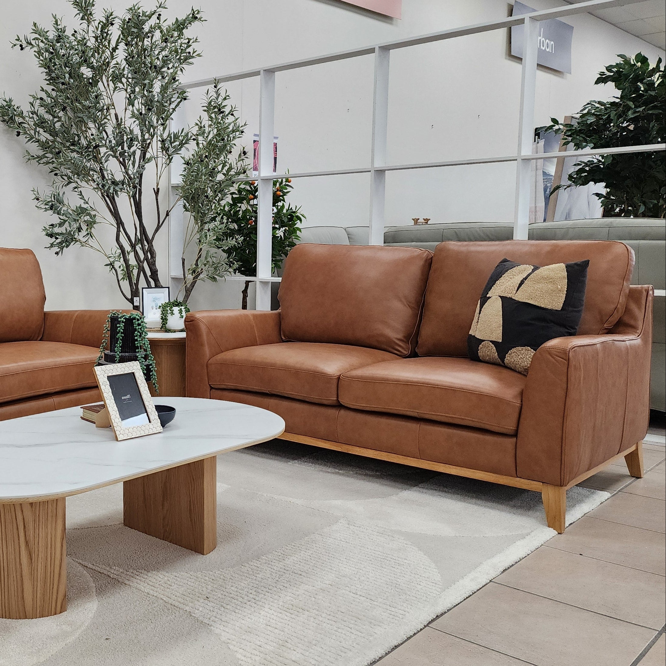 Carson 2 Seater In Tan Leather
