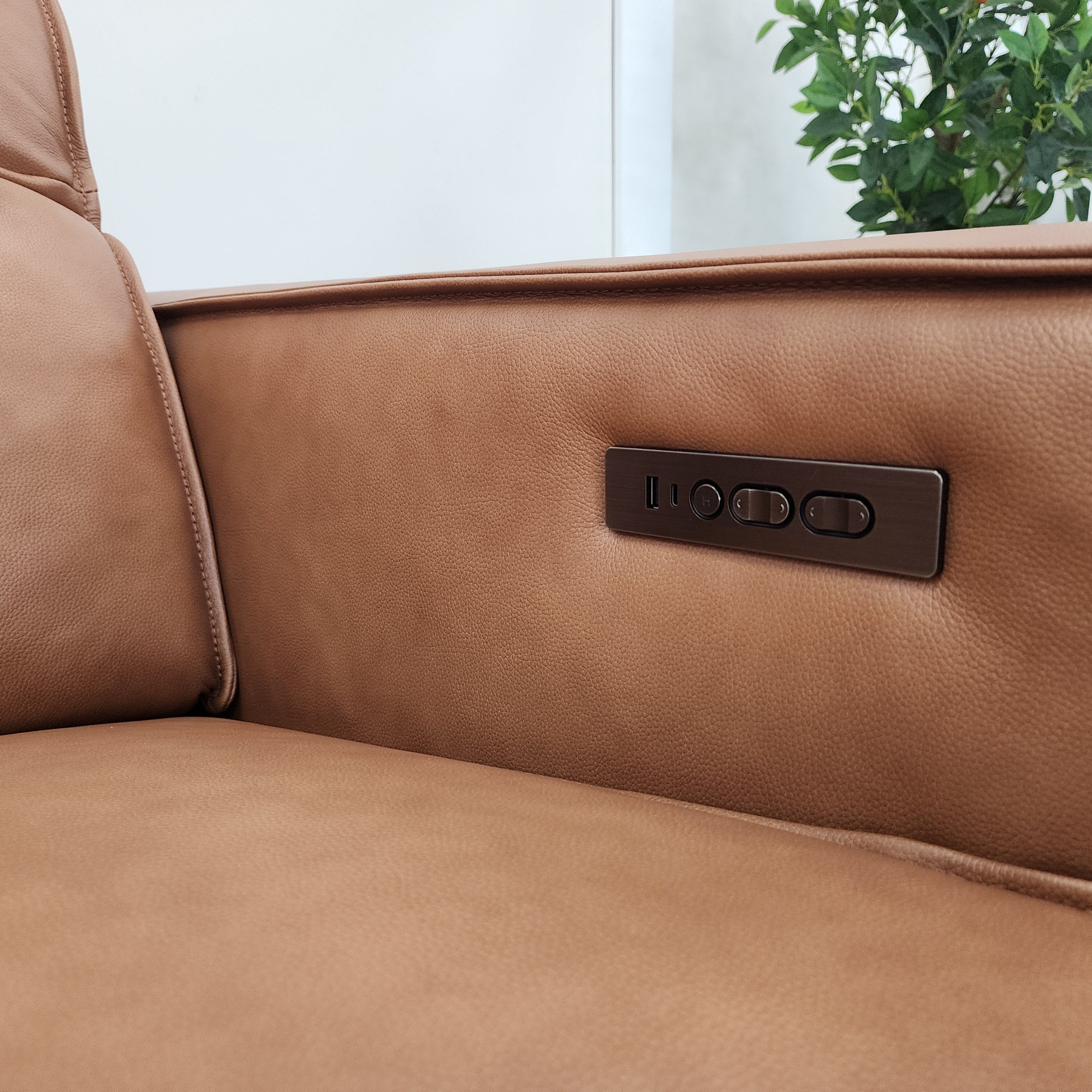 Xander 2 Seater With Electrics In 100% Premium Tan Leather