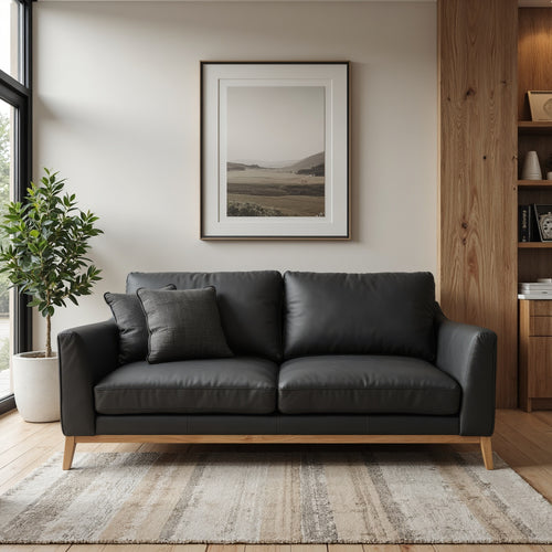 Carson 2 Seater In Black Leather