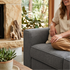 Eli Sofa Bed In Charocal