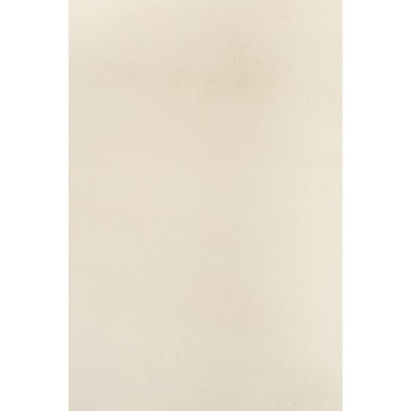 Carrie Rug Warm Neutral 200 x 290