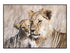 Serengeti Premium Large Artwork